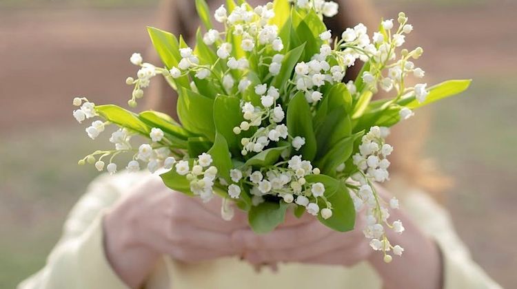 MUGUET - Des règles à respecter pour la vente sur la voie publique